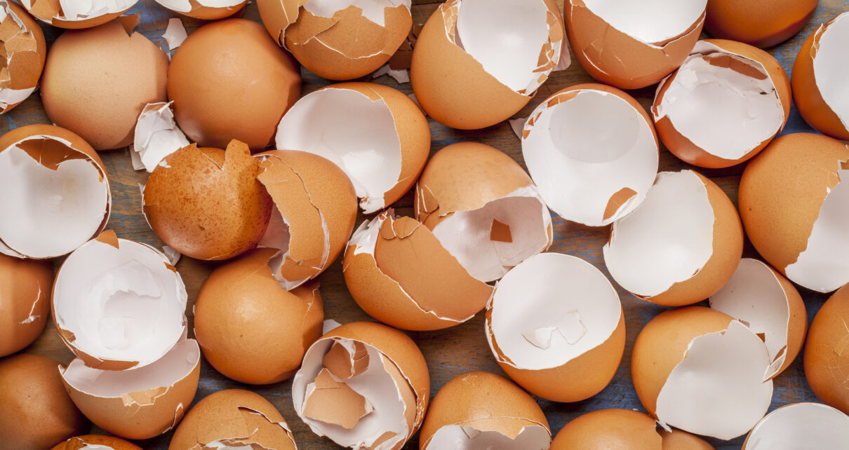 Zdrowotne właściwości skorupek jaj. Do czego możemy je wykorzystać?