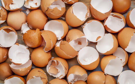 Zdrowotne właściwości skorupek jaj. Do czego możemy je wykorzystać?